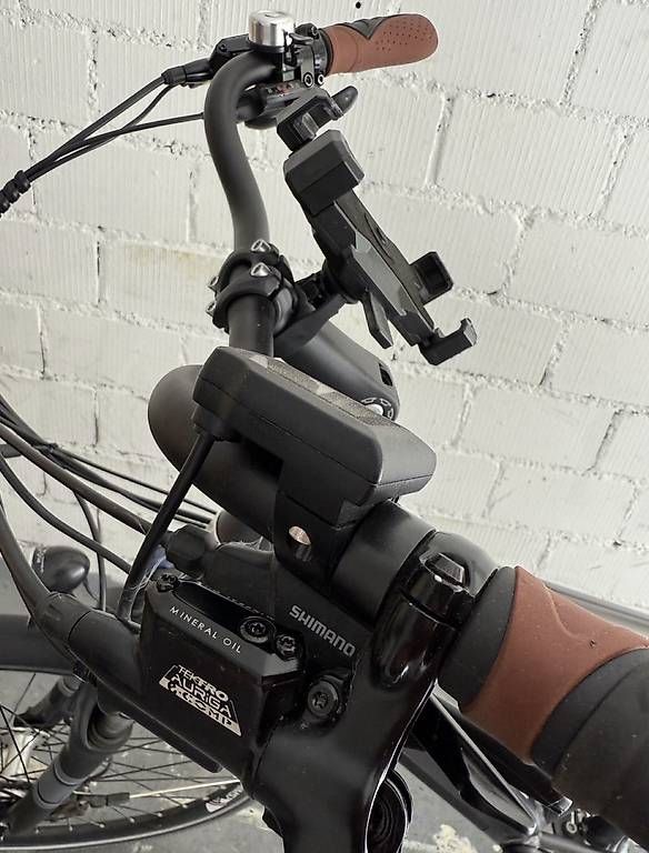 Biciclette: Zenith Elektrobike – Usato da Goldach venduto da axn_ng5f 4