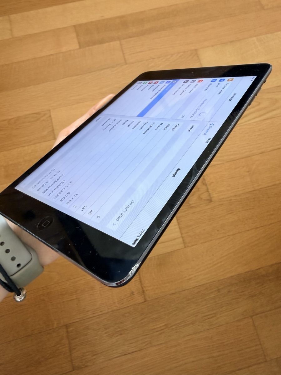 Apple Tablet PC: iPad Mini 2 A1432 – Usato da Burgdorf venduto da Umka1 1