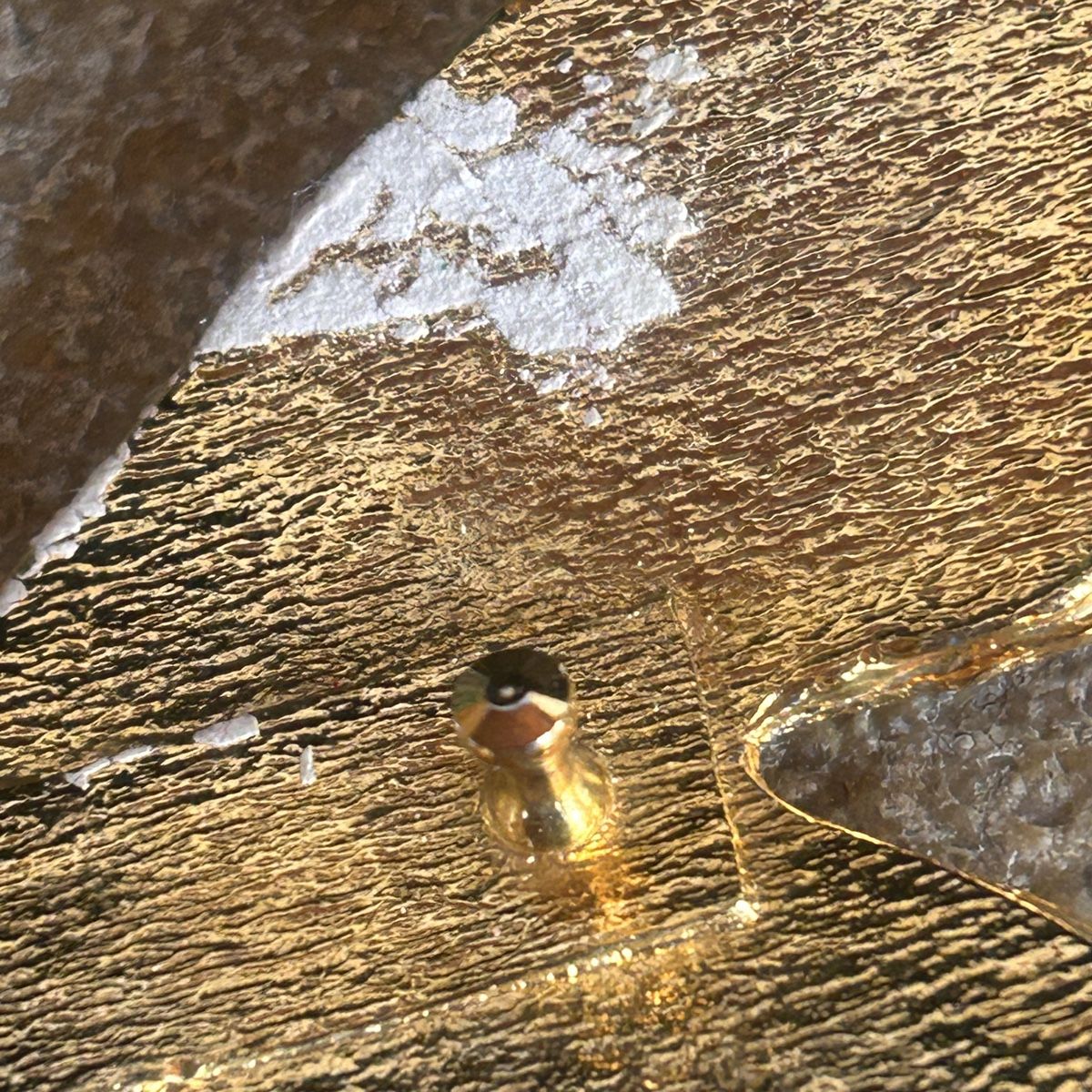 Fibbie per cinture: Gürtelschnalle Schmetterling gross – Usato da Laufen venduto da Bellavitaboom 5