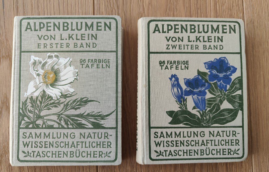 Libri: Alpenblumen – Usato da Sigriswil venduto da Ricola1977