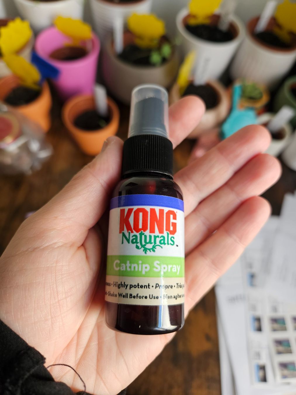 Parfums & Eau de Toilette: Catnip Spray Katzenspray Baldrian – D'occasion à Luzern par Lucan_Valerius