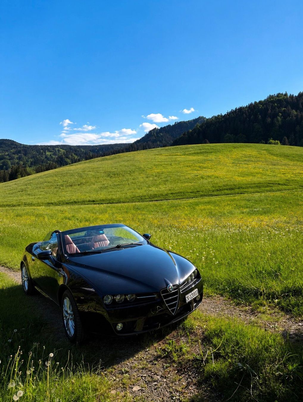 Alfa Romeo Automobili: Alfra Romeo Spider 3.2 – Usato da Adliswil venduto da lul_5h6f