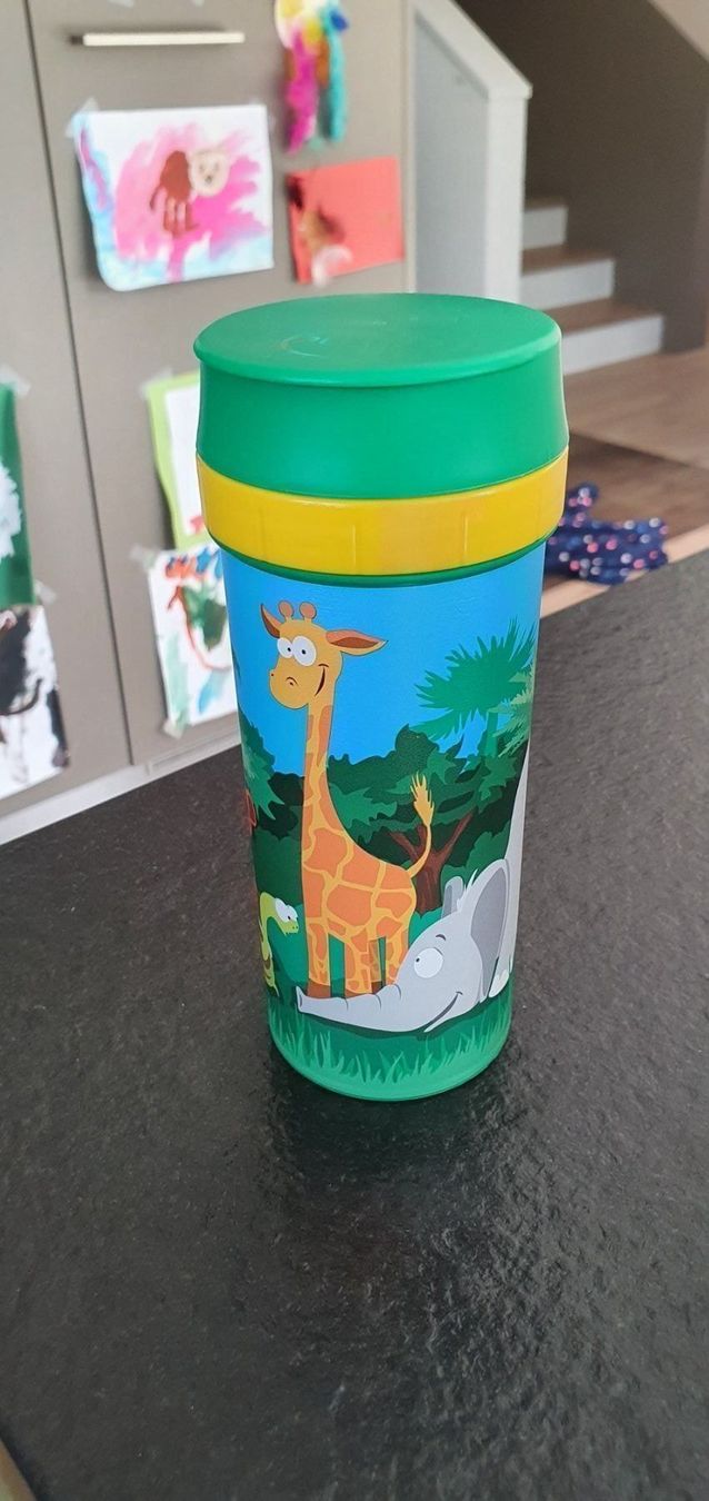 Rotho Contenitori & Simili: Trinkflasche – Nuovo (secondo la descrizione) da Tafers venduto da Nathtafers