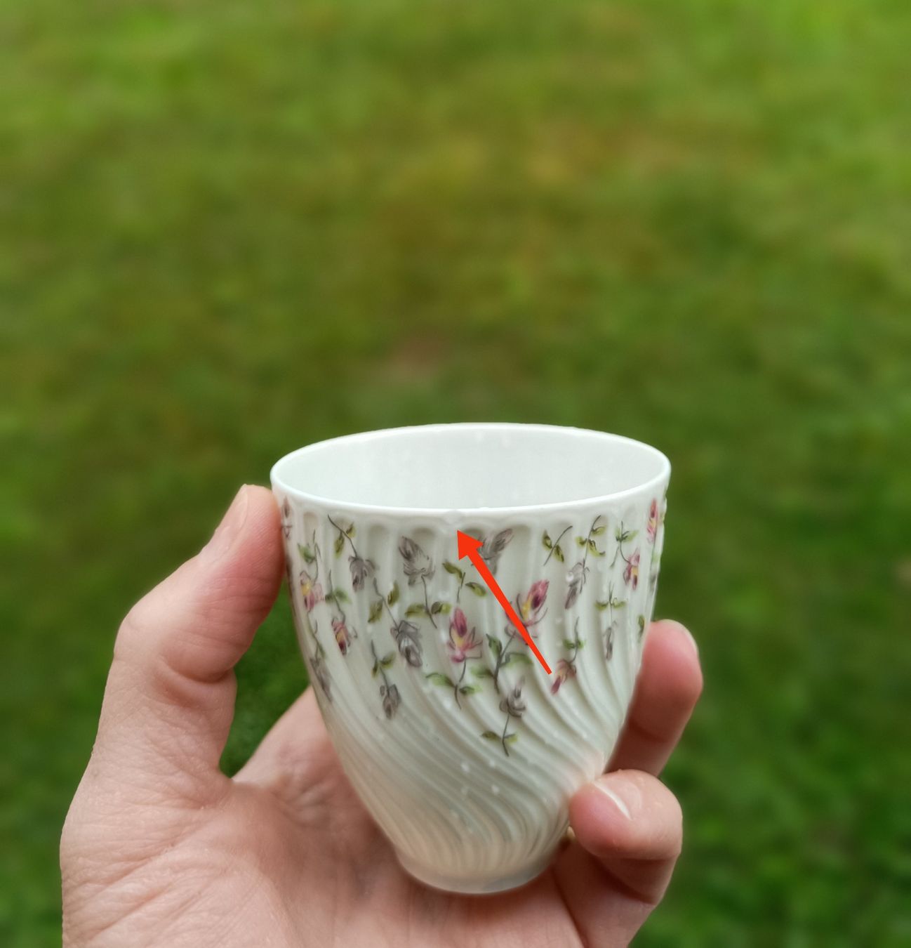Set di piatti: Kaffee Limoges Service – Usato da S. Antonino venduto da sab_z5qw 8