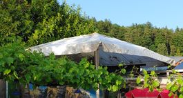 Sonnenschirm gross 3 x 4 m gebraucht Zustand beachten