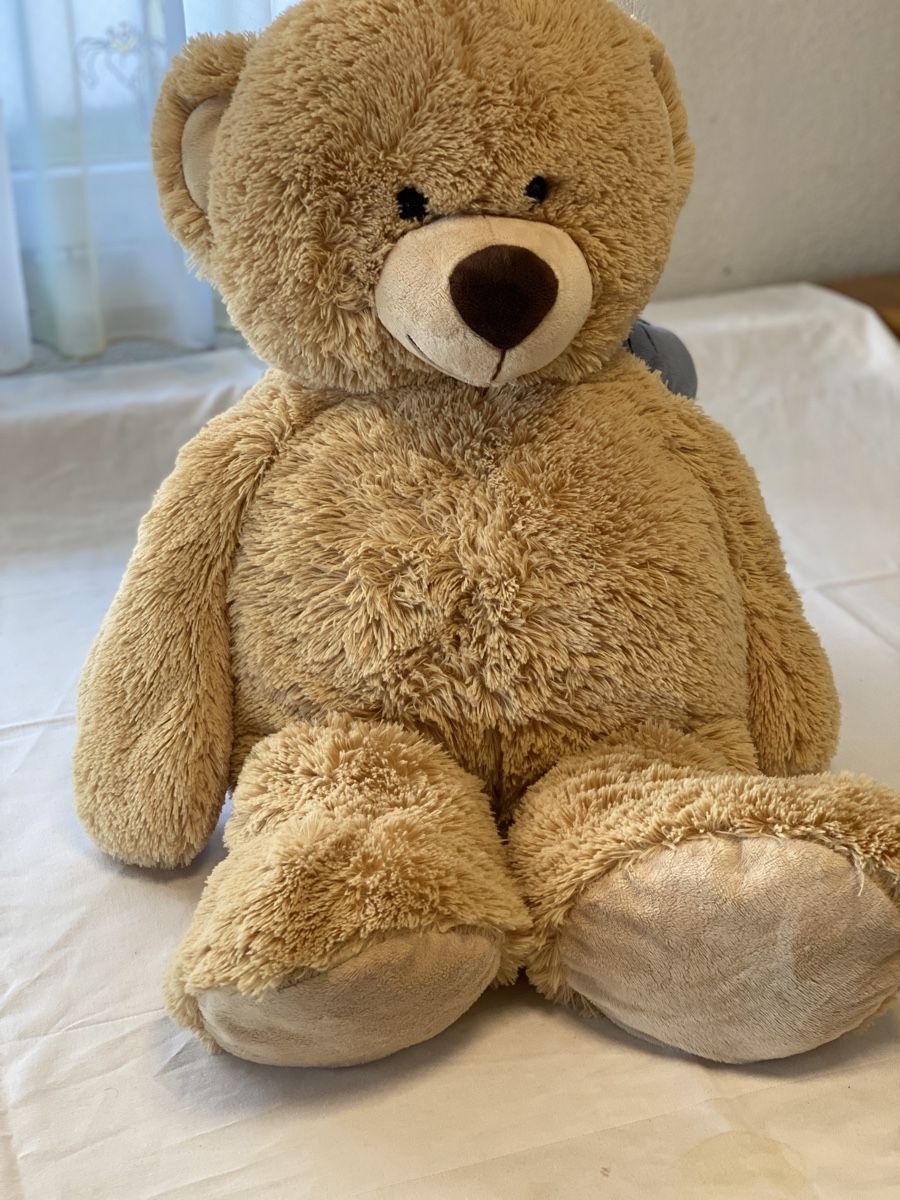 Giocattoli: Grosses Teddybär-Set, 10 Stk – Usato da Brütten venduto da Acutis2006 7