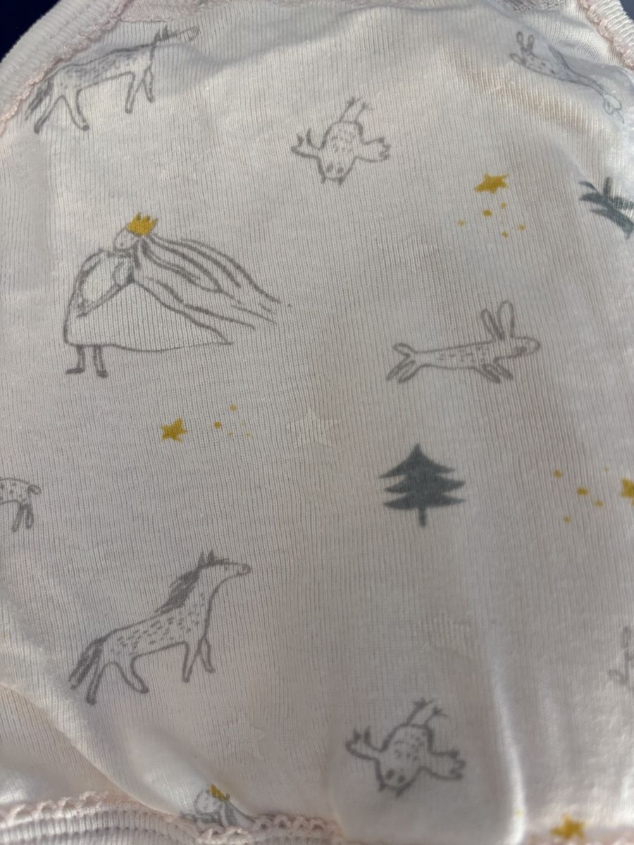 Petit Bateau Unterwäsche: 2 slips Petit Bateau 10 ans - 140cm – Gebraucht aus Founex von ari_2gt7 3