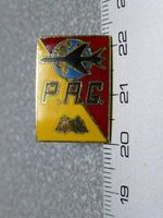 PIN PINS POLIZEI POLICE ABZEICHEN