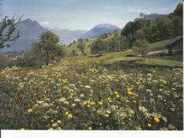Beckenried 1987