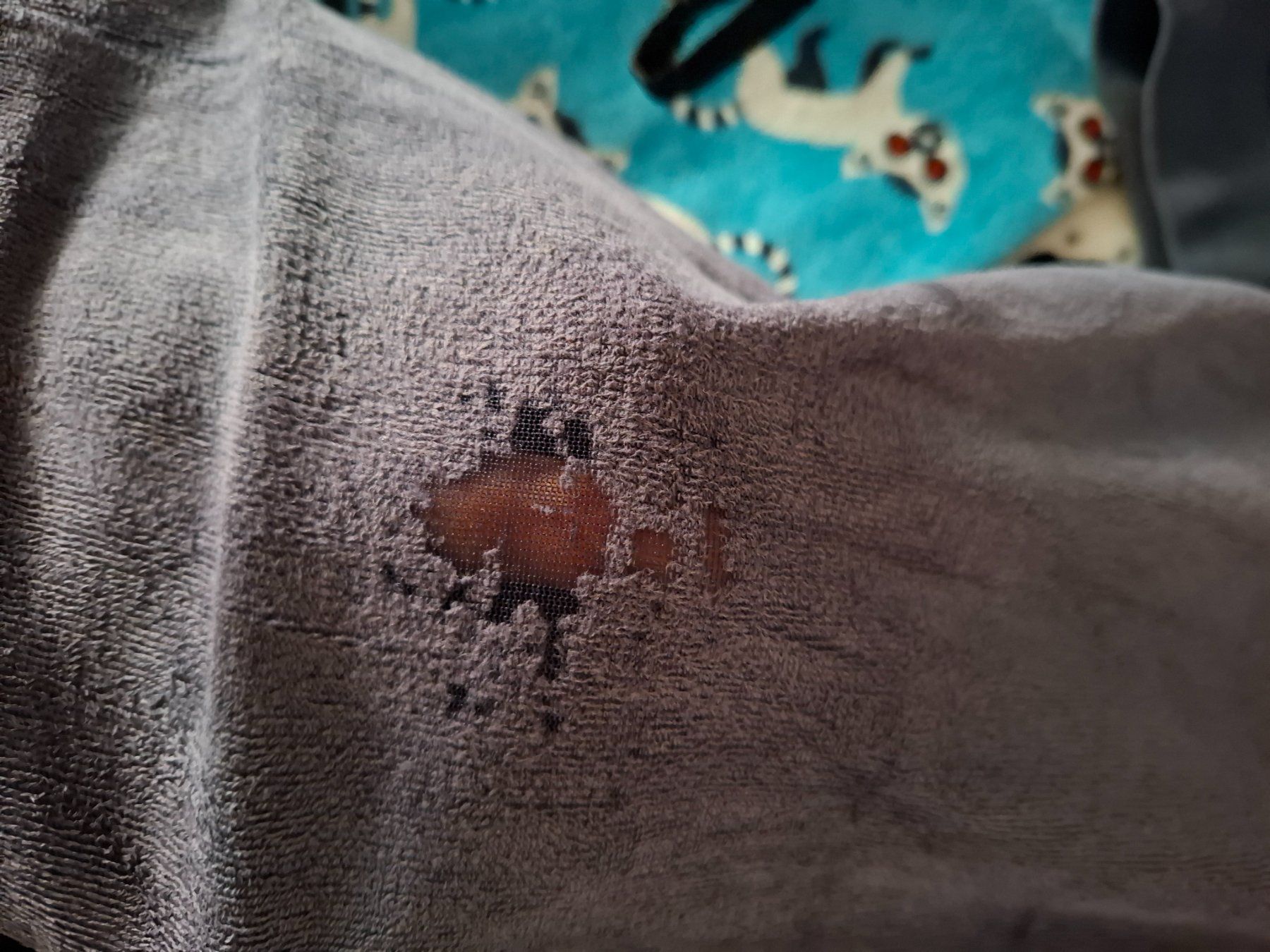 Pigiama & Simili: 2x Samt Pyjamas gr.122/128 – Difettoso da Oberurnen venduto da rotty80 5