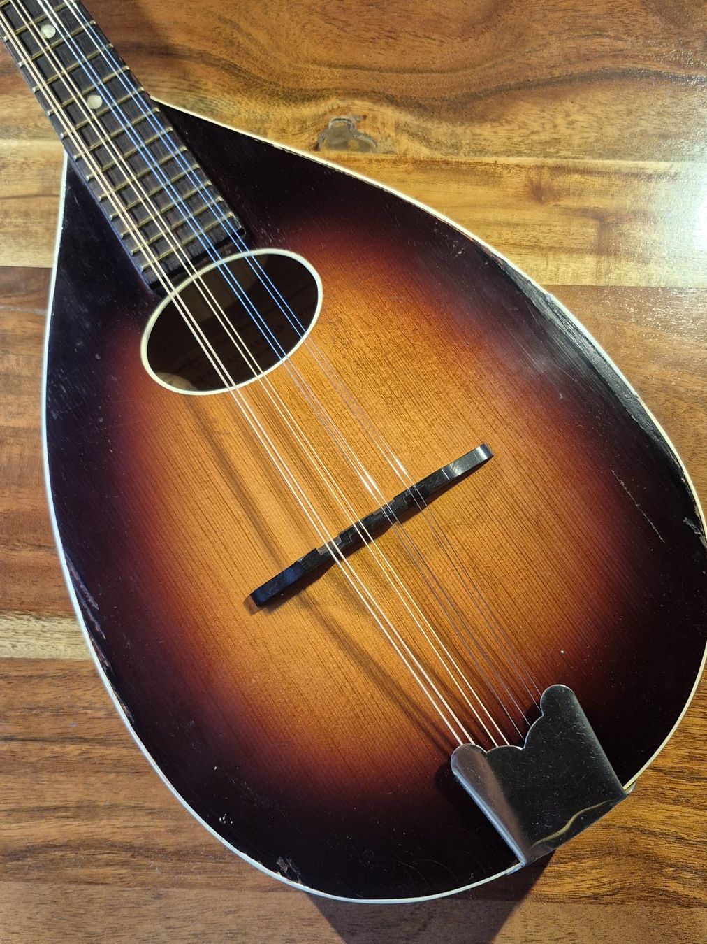 Strumenti musicali: Mandoline Levin 54 Taranto 1963 – Usato da Winterthur venduto da NorrSydGuitars 3