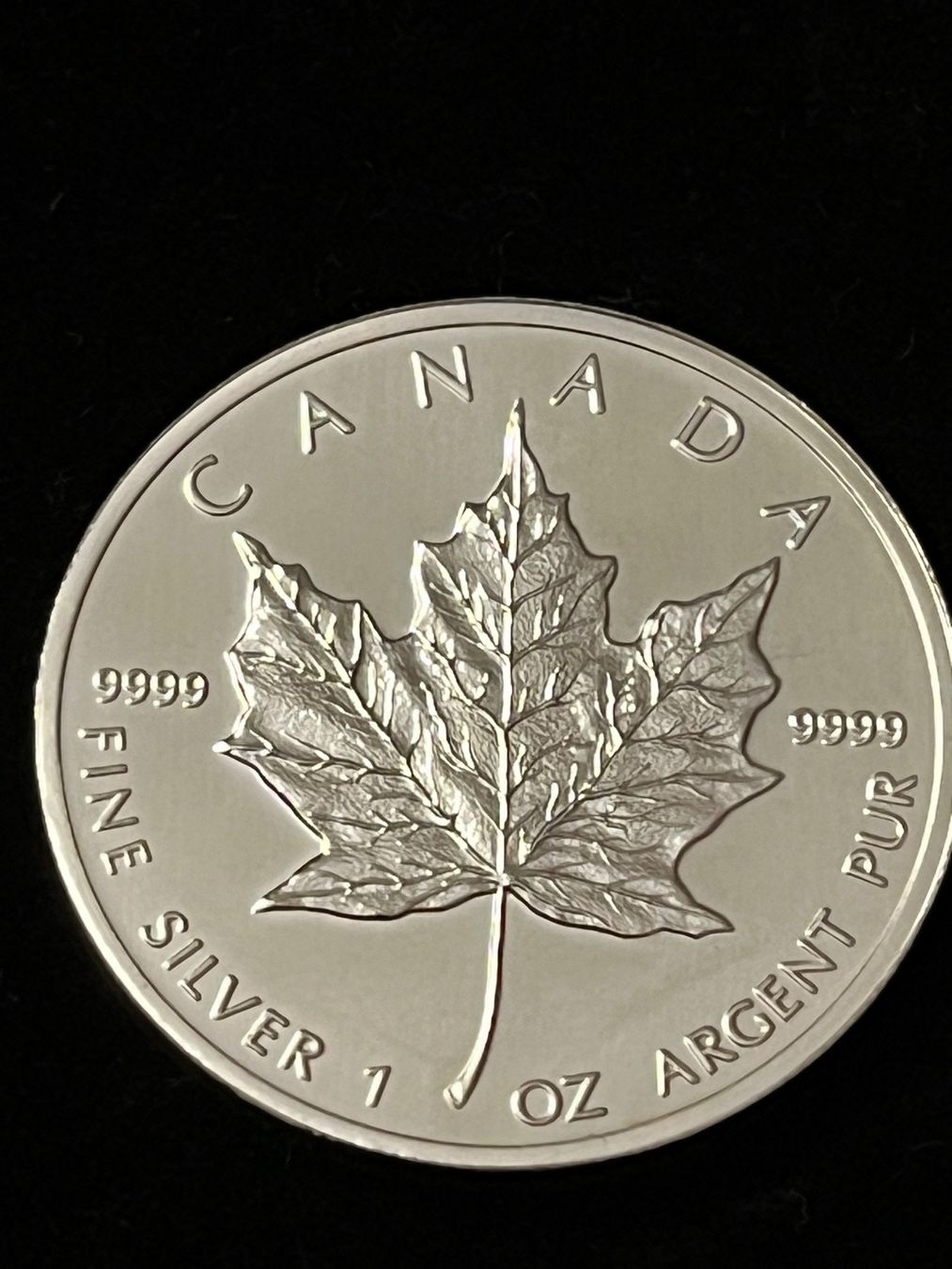Alle Münzen: 1 oz Silber Canadian Maple Leaf 2013 – Gebraucht aus Thundorf von popeye03