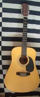Schaepe Guitare 12 Str