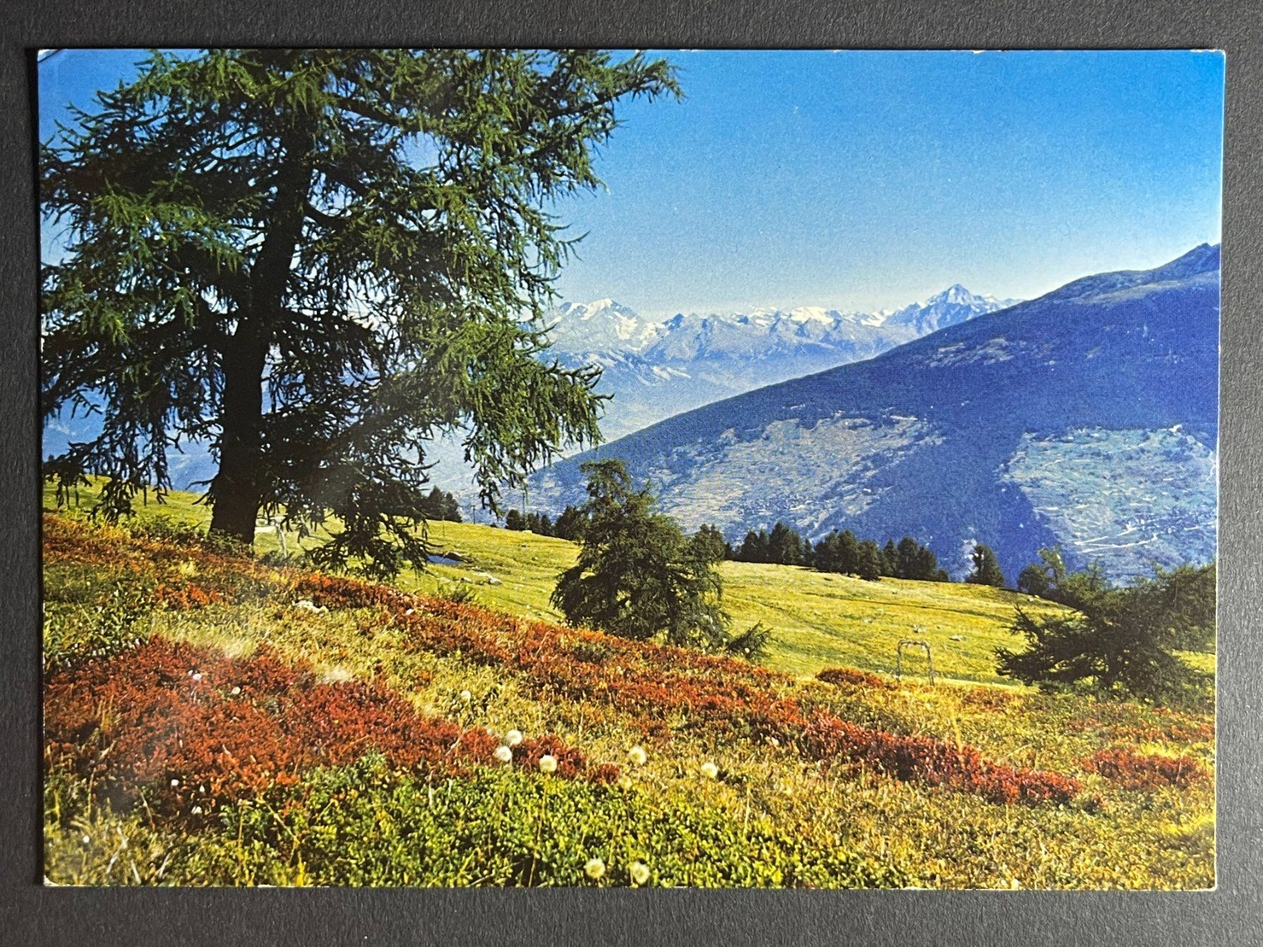 Cartoline postali: Thyon - Alpage - Vex – Usato da Steg VS venduto da _vinci_