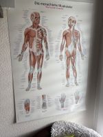 Stabile Massageliege mit div. Zubehör
