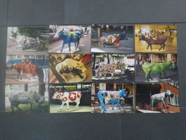 Cow Parade Zürich 1998 / 12 orig. Vintage Fotos