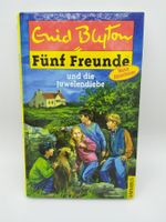 Fünf Freunde, Bd.24, Fünf Freunde und die Juwelendiebe