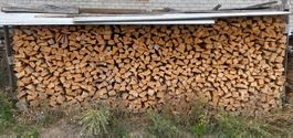 5.2 Ster Brennholz 50 cm
