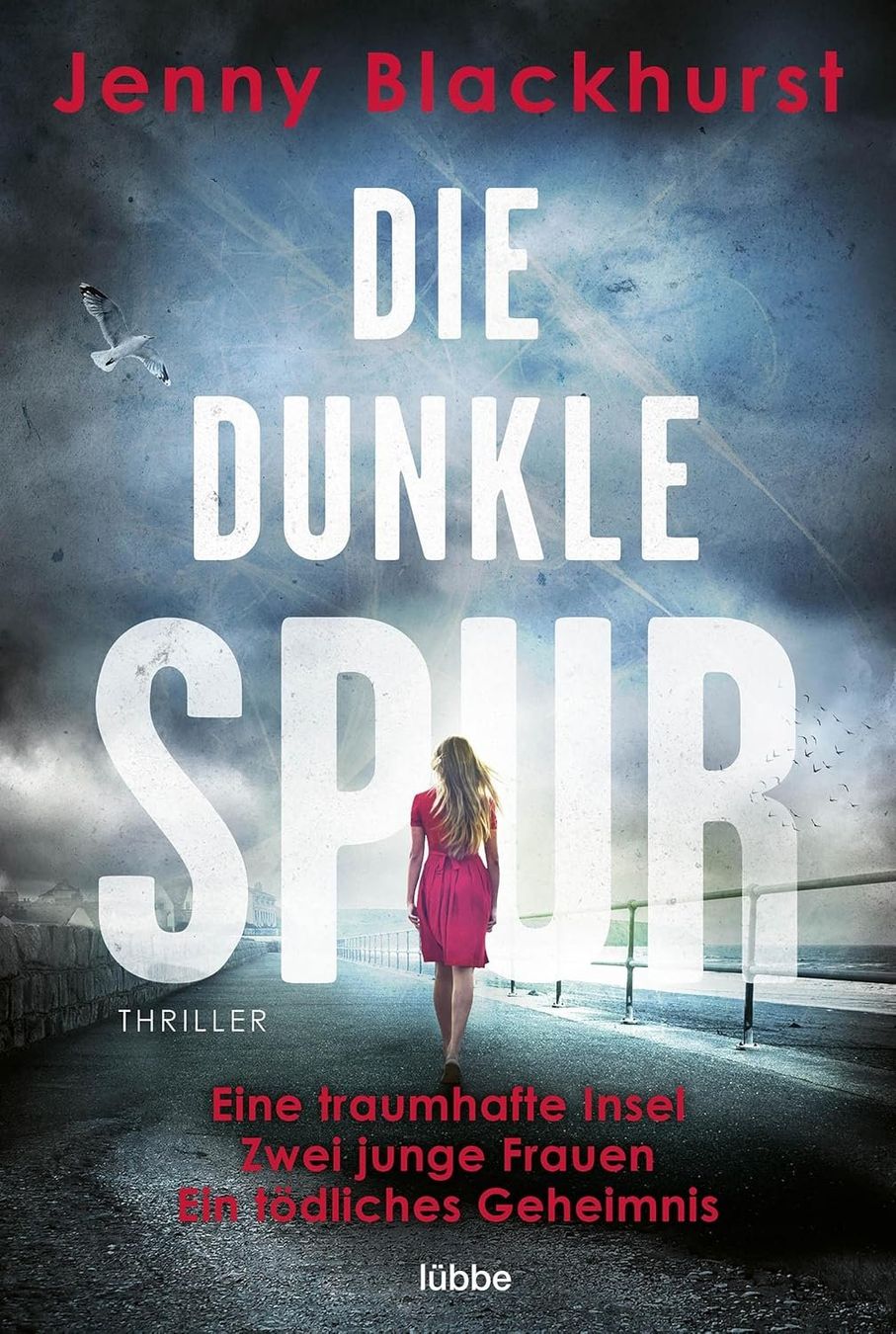 Libri: Jenny Blackhurst - Die dunkle Spur – Usato da Zäziwil venduto da kreative-ideen