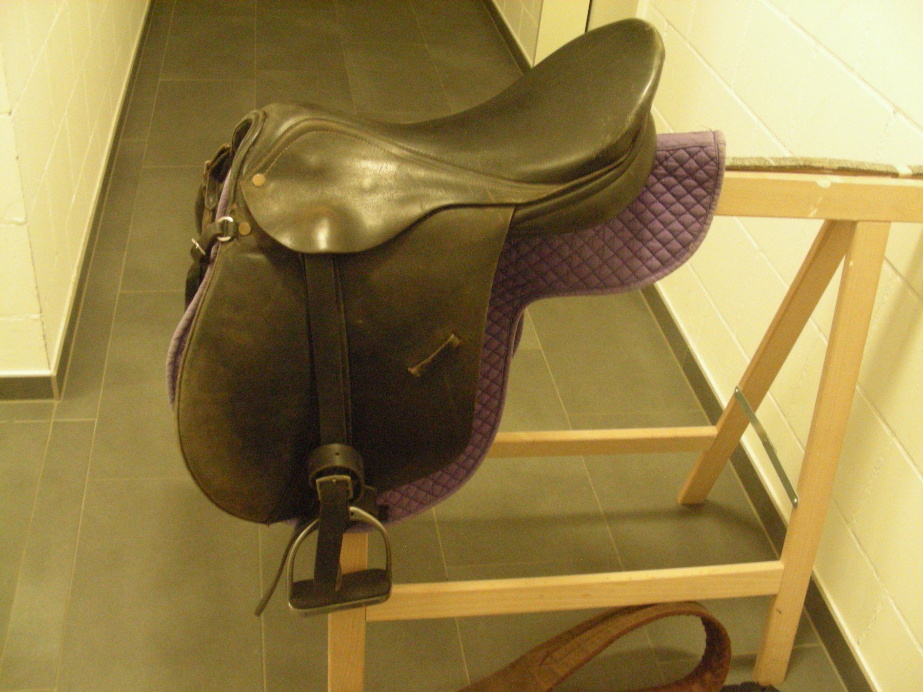 Selle & Accessori: Reitsattel, Pferdesattel – Usato da Oberdorf BL venduto da schnae09 1