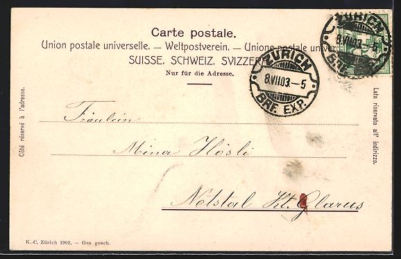 Cartoline postali: Zürich, Schwanenkolonie mit Bauschänzl – Usato da Berlin venduto da bartko-reher 1