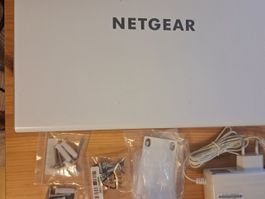 Netgear Gigabit Router BR200