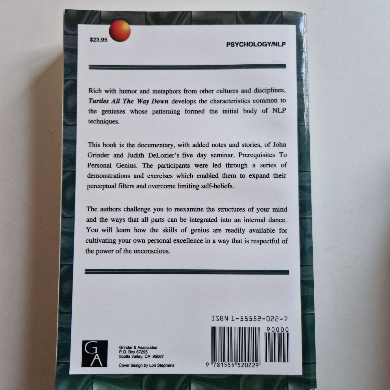 Bücher: Turtles All The Way Down – Neu (gemäss Beschreibung) aus Rüti ZH von Gigelisuppe 1