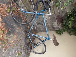 Velo
