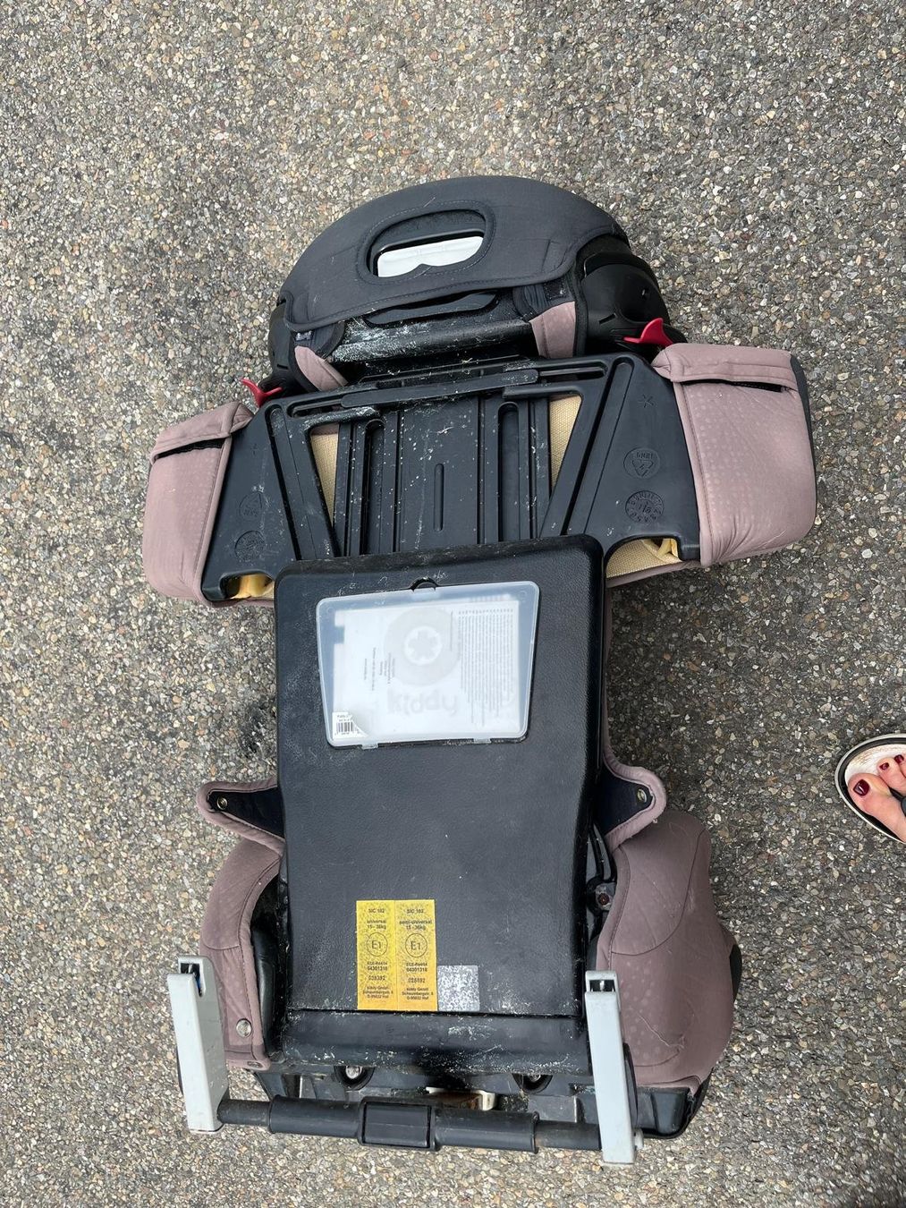 Kiddy Seggiolini per auto: Kiddy Kindersitz – Usato da Schindellegi venduto da lailalu 2