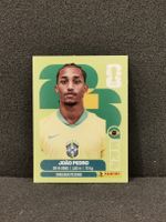 Panini Wm 2026 Sticker :Joao Pedro Bra 16