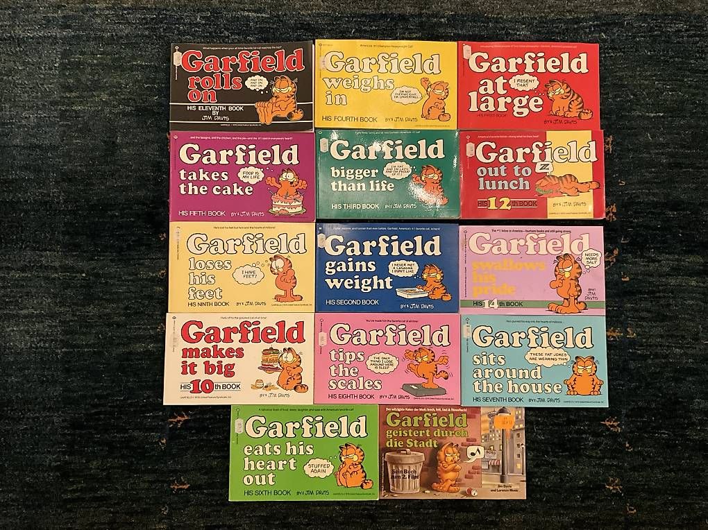 Fumetti: Garfield Comics – Usato da Schmitten FR venduto da Chili58