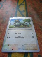 POKEMON  Cyclizar    HH SCR EN   127/142   HP110   2024