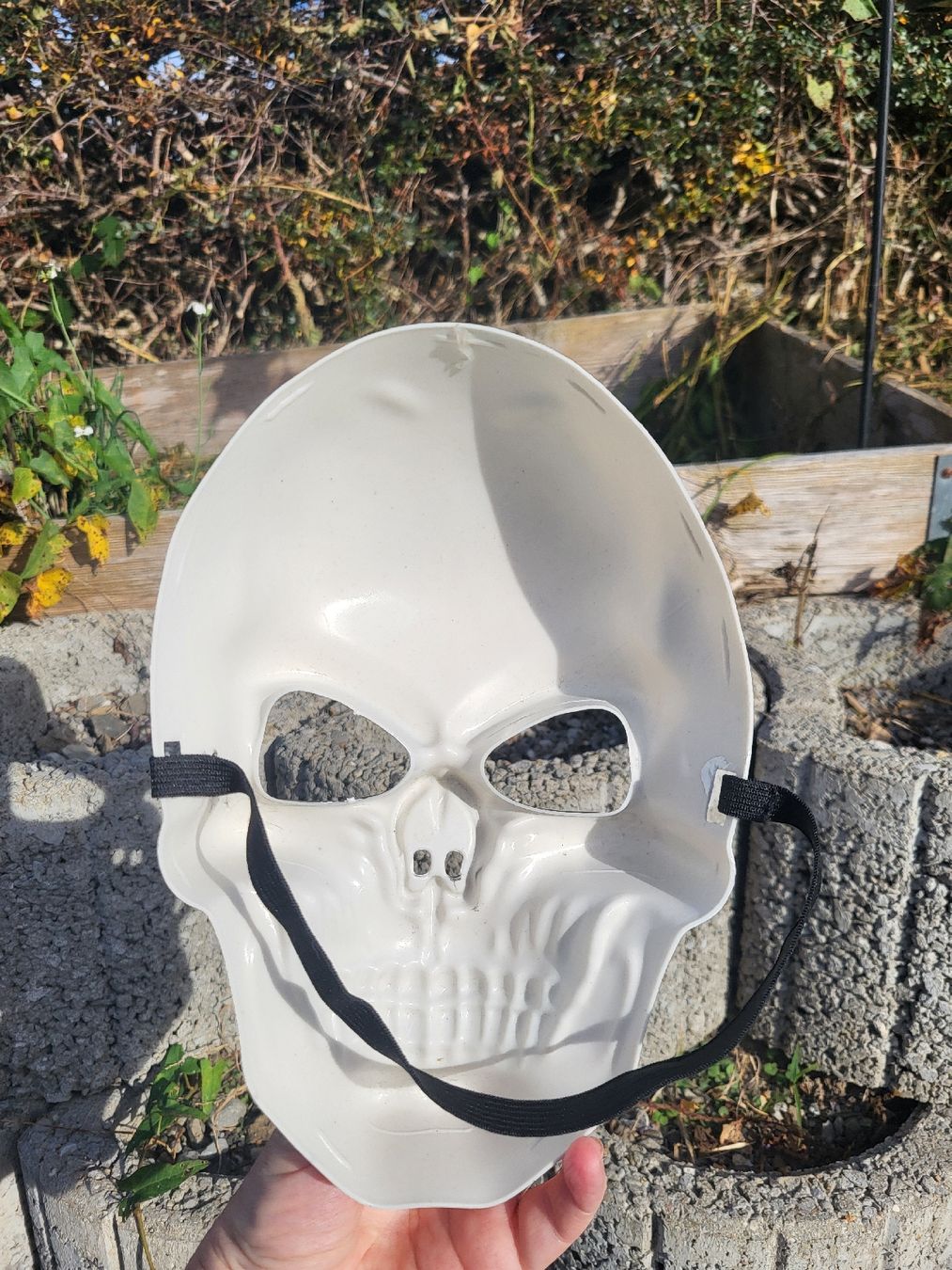 Maschere: Halloween Maske – Usato da Enggistein venduto da Manuki_engg 1