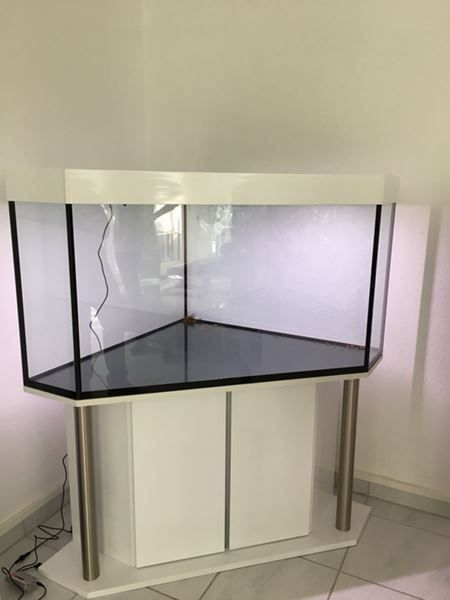 Acquari: Eck Aquarium ca 390 Liter – Nuovo e nell'imballaggio originale da Zofingen venduto da K-Linedesign