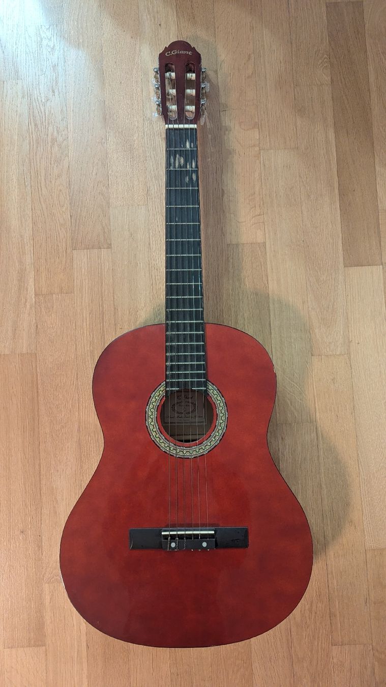 C.Giant Instruments de musique: Gitarre – D'occasion à Birr par Liv_Nina