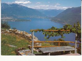 Borei 2001