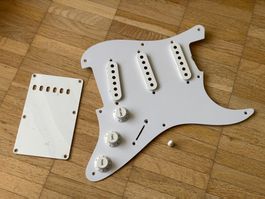 Vintage 50s Style Repro Stratocaster Pickguard Parts Fender