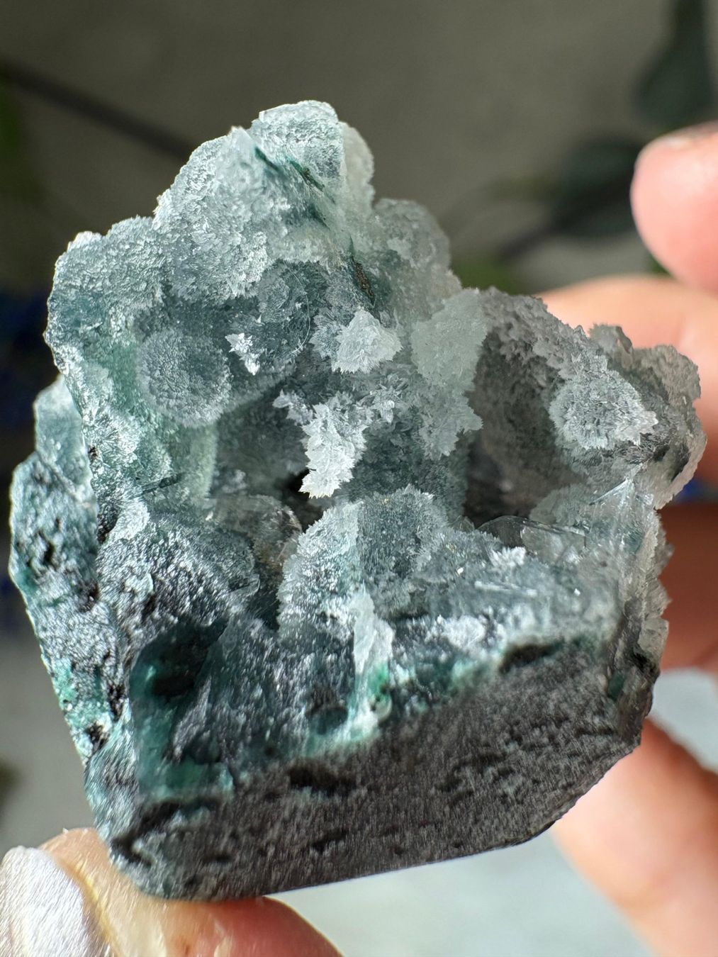 Minerali & Pietre curative: Chalcedon-Stalaktit mit Heulandit – Nuovo e nell'imballaggio originale da Neuheim venduto da m.hald 2