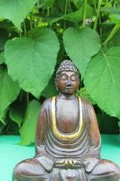 Buddha Statue
