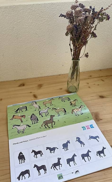Spiele: Mini LÜK ab 5 Pferd und Einhorn – Gebraucht aus Stetten AG von kristinabrita 3