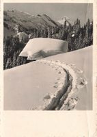Mürren (BE) – Winterlandschaft in den Alpen G