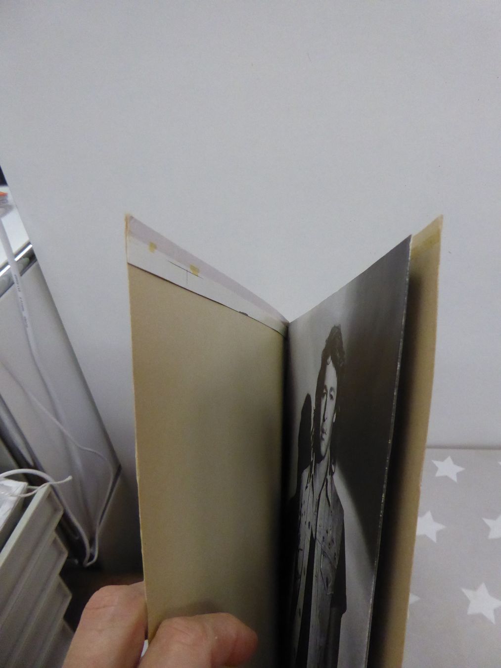 Dischi in vinile: LP: Peter Maffay Revanche – Usato da Rafz venduto da Powacaddy 2