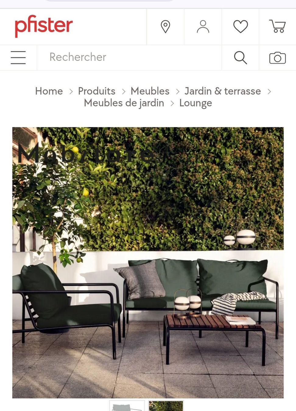 Pfister Fauteuils: Lounge extérieur Houe Pfister – D'occasion à Nyon par smoret2 7