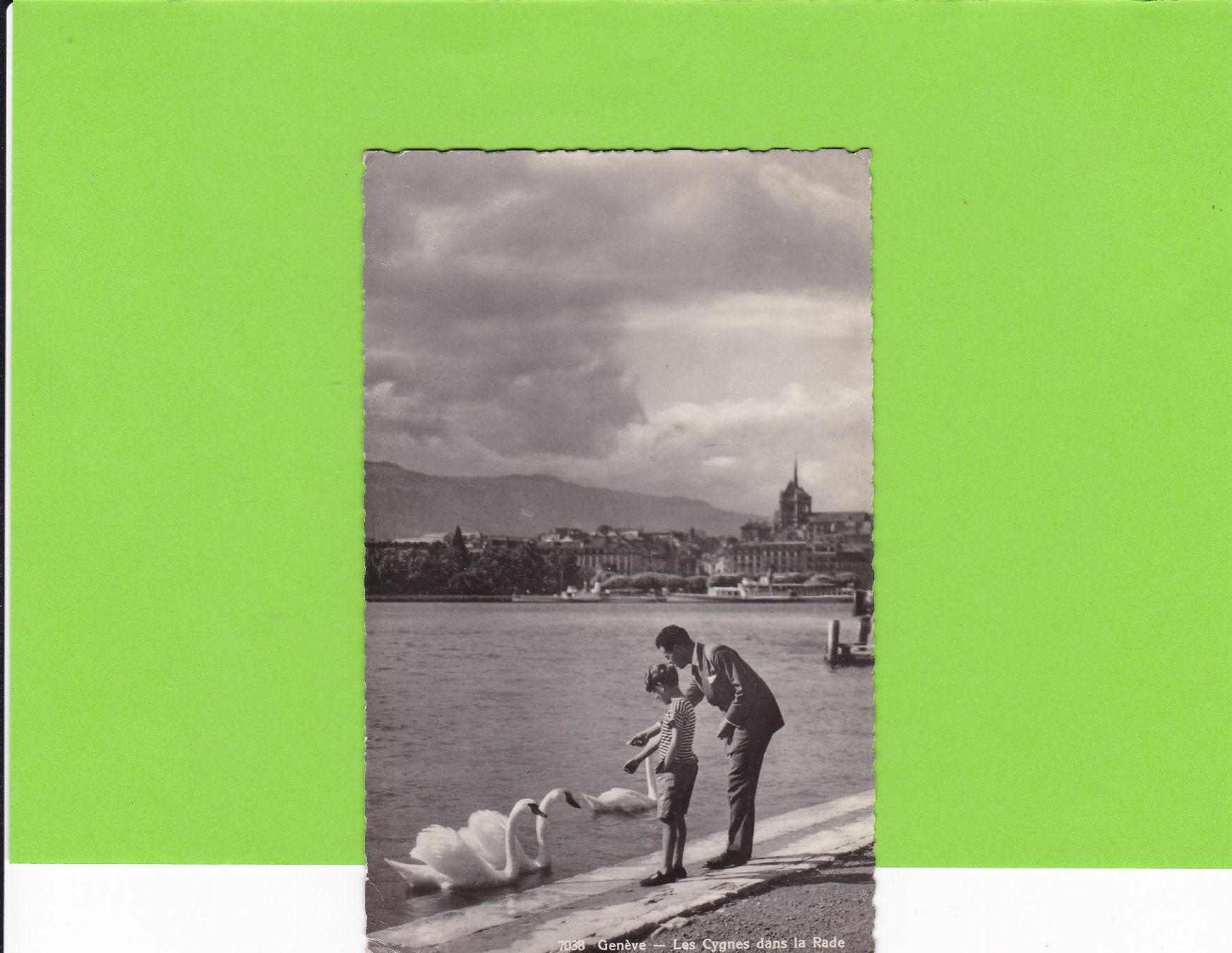 Cartoline postali: Genève-Les Cygnes dans la Rade – Usato da St. Peterzell venduto da neckertal