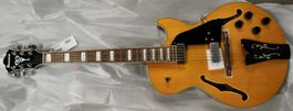 BEAUTY STUFF Ibanez Hollow Body Electric Guitar