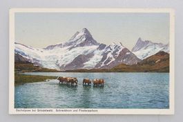 AK Bachalpsee bei Grindelwald