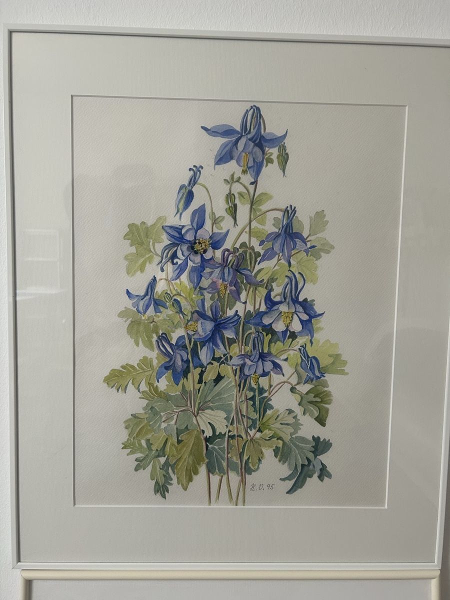 Dipinti: Schönes Blumen Aquarell – Nuovo (secondo la descrizione) da Hittnau venduto da Oracel 1