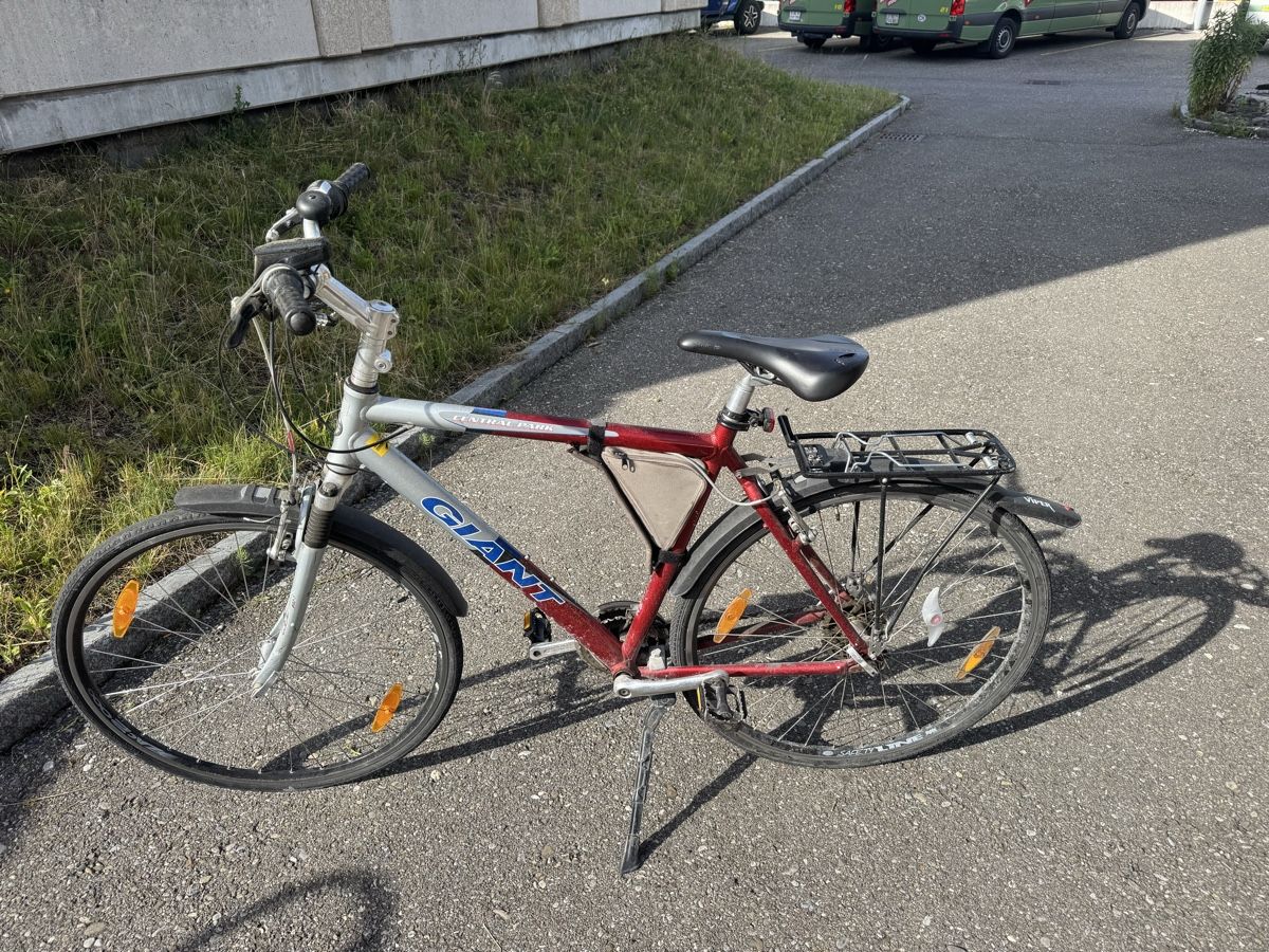 Giant Biciclette: Giant Velo – Usato da Gwatt (Thun) venduto da louisgafner 1