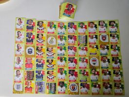 200+ Panini 2026