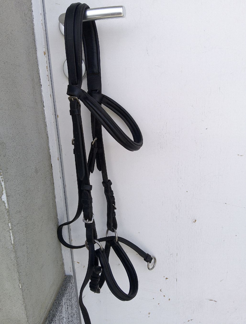 Briglie & Cavezze: Bitless bridle, trensenloser Zaum WB – Usato da Bad Ragaz venduto da ele_62tq